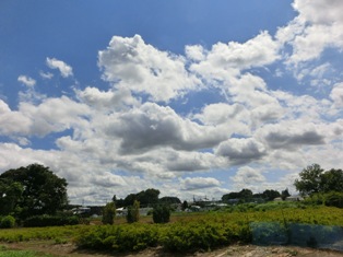 c0141844_21595156.jpg
