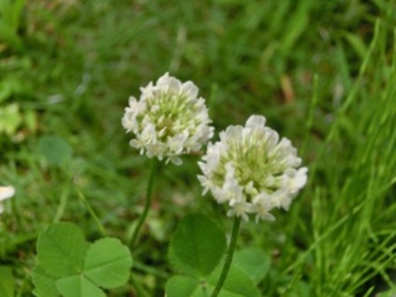 c0141844_22291857.jpg