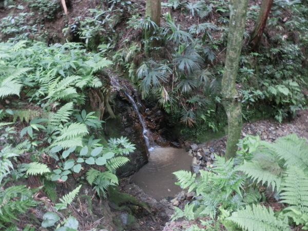 b0132746_22170789.jpg