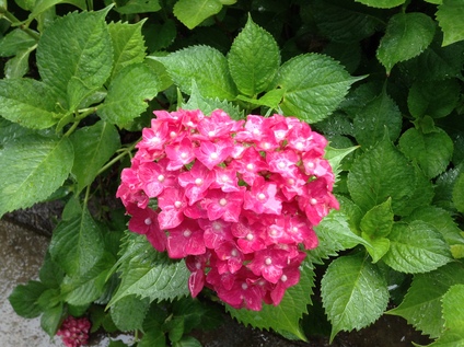 c0190847_22354638.jpg