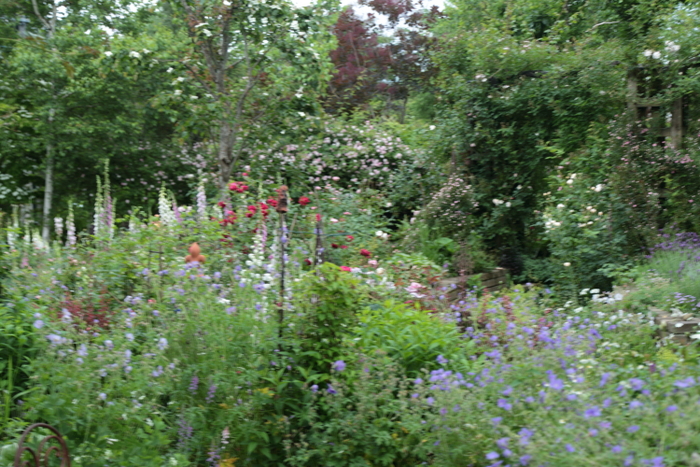 a0258549_6283269.jpg