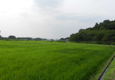 e0172950_20133217.jpg