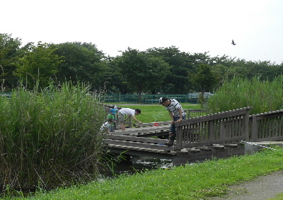 e0172950_20144898.jpg