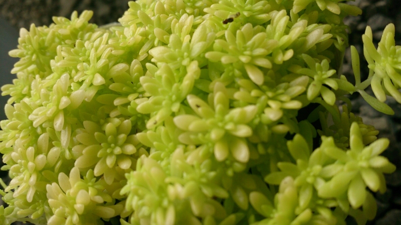 f0341250_1453880.jpg