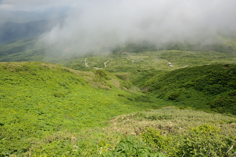 d0169556_11444965.jpg