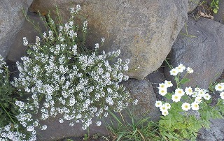 e0004756_21312981.jpg
