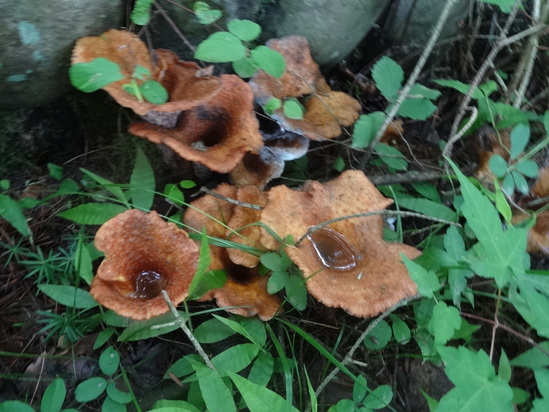 f0198556_2305021.jpg