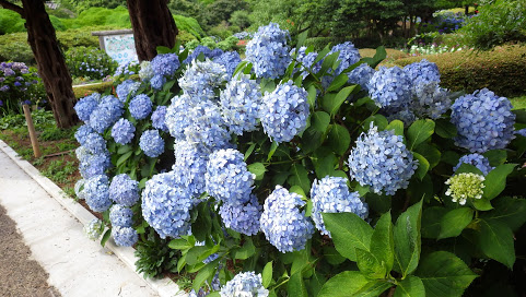 f0201157_00205642.jpg