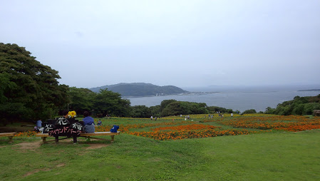 f0201157_00354960.jpg