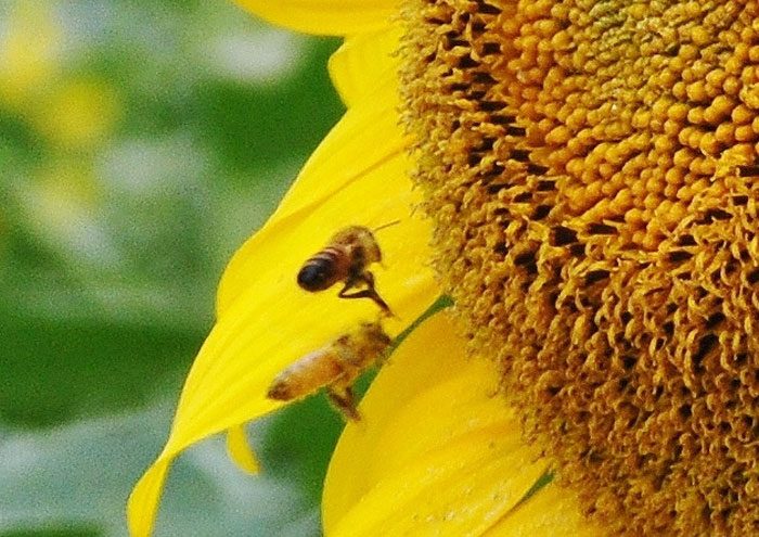 a0284558_165183.jpg