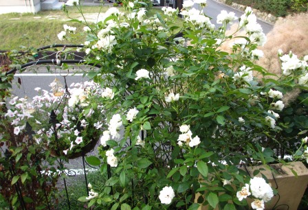 a0243064_08373135.jpg