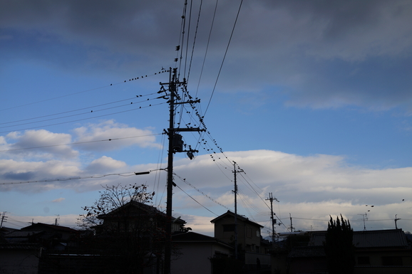 d0235865_823931.jpg