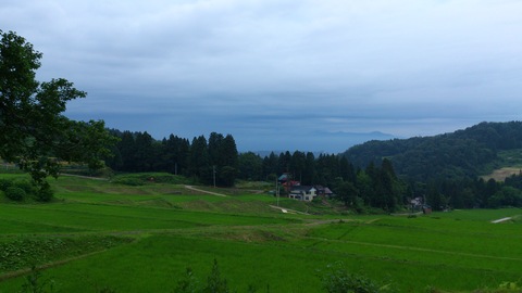d0182179_1943395.jpg