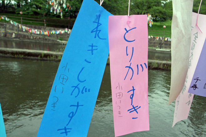 b0161189_16482977.jpg