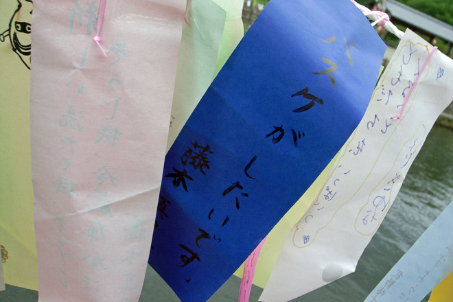 b0161189_16521310.jpg