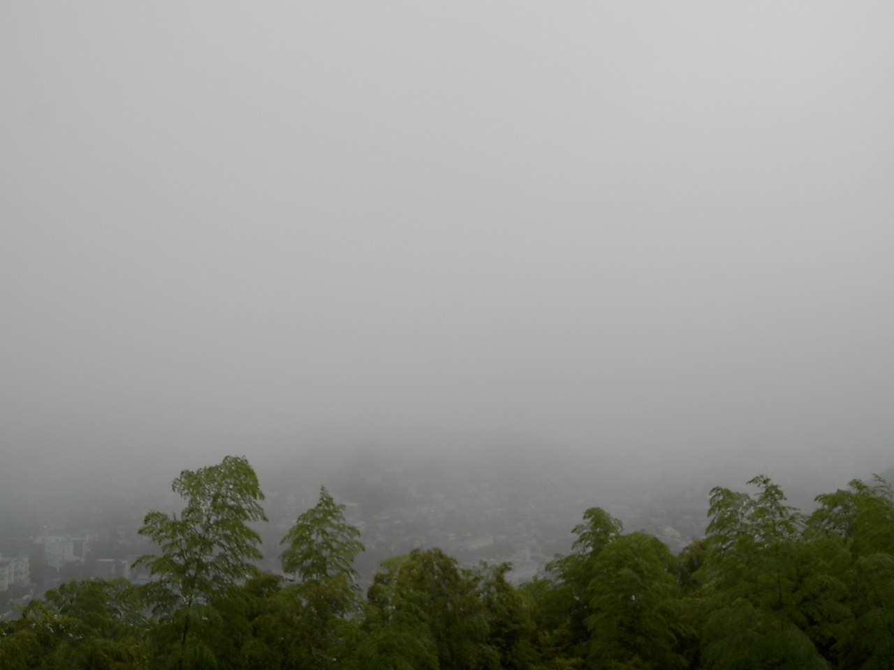 f0181793_1624463.jpg