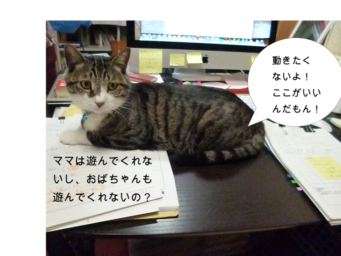 f0305995_2349257.png