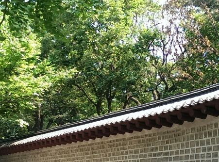 a0140305_14455420.jpg