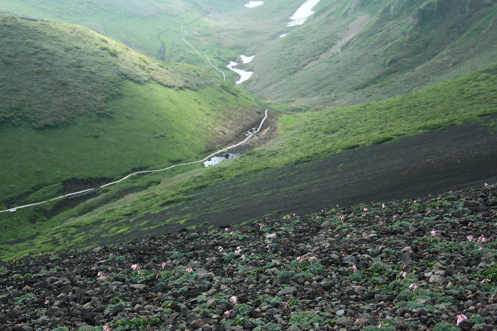 b0050305_1381386.jpg