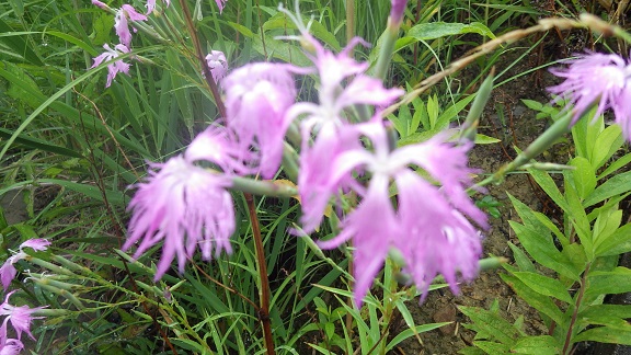 c0280206_9401161.jpg