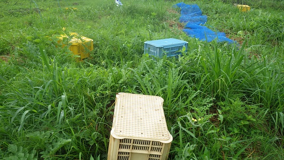 c0280206_950762.jpg