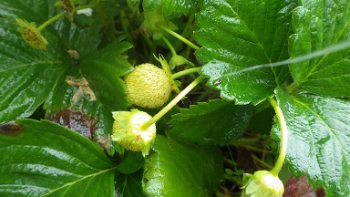 c0280206_9522129.jpg