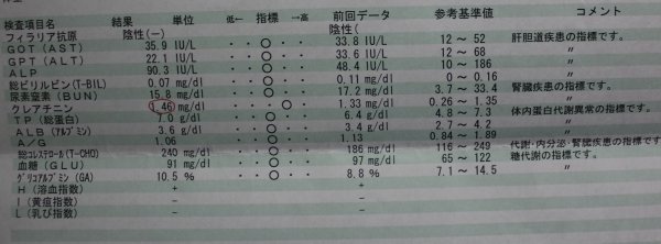 b0073110_922295.jpg