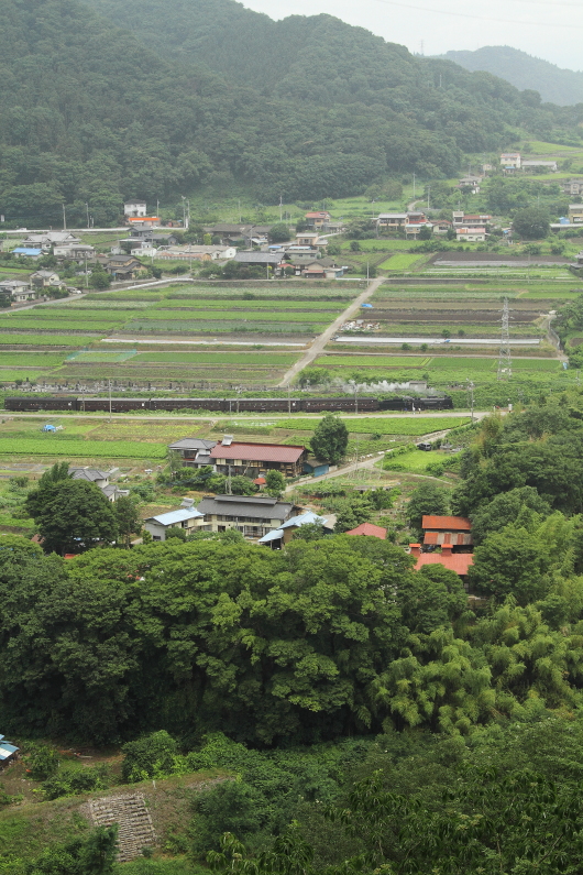 b0190710_23111647.jpg
