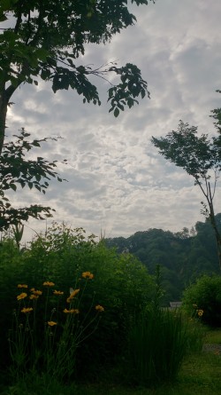 e0027813_22342921.jpg