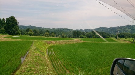 e0027813_23365146.jpg