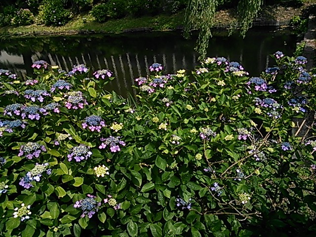 a0073915_2342241.jpg