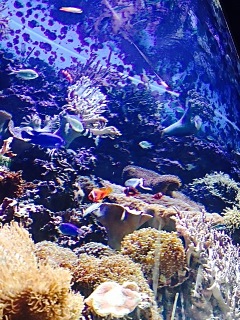 e0157816_10462585.jpg