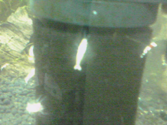a0291521_147454.jpg