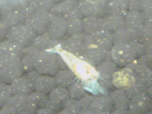 a0291521_1474546.jpg