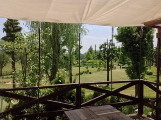 f0332323_06375814.jpg