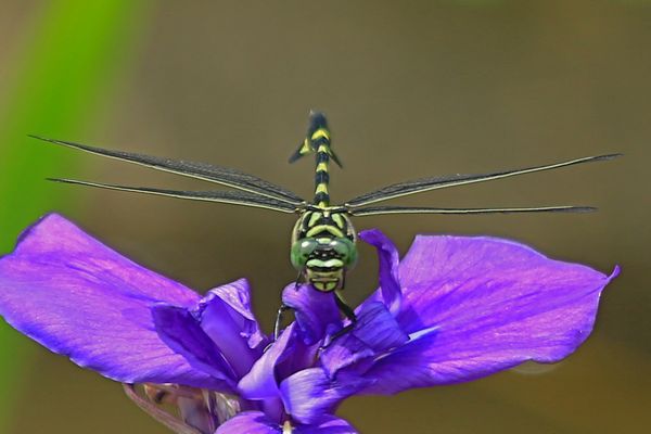 c0104227_32359.jpg