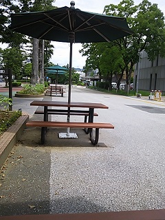 f0151628_2023593.jpg