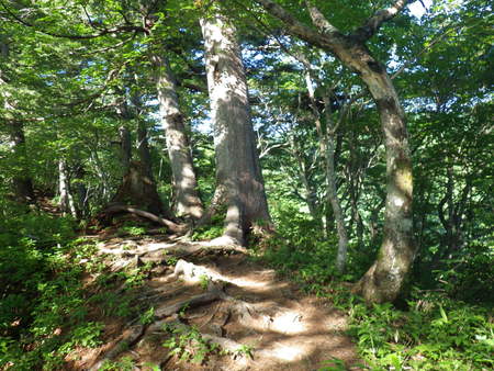 f0118332_23244671.jpg