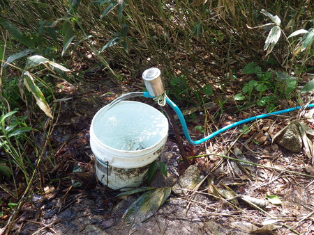 f0118332_2325412.jpg