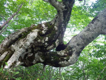 f0118332_2326029.jpg