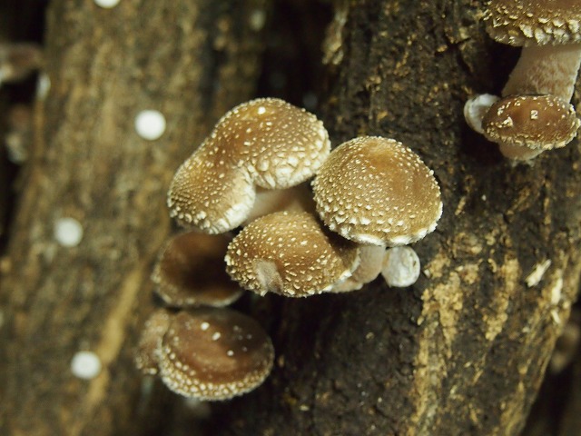 a0280635_1233086.jpg