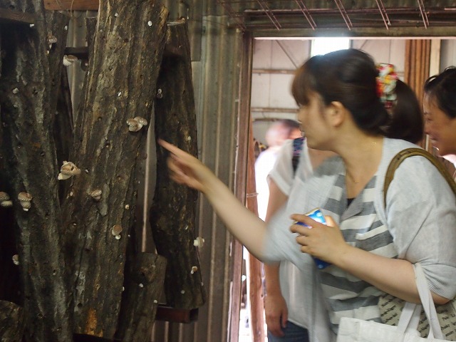 a0280635_1252076.jpg