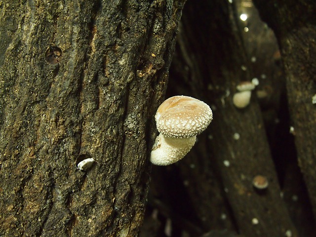 a0280635_127203.jpg