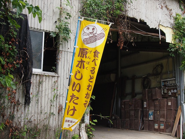 a0280635_1275213.jpg