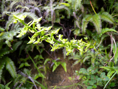 e0272335_1815135.jpg