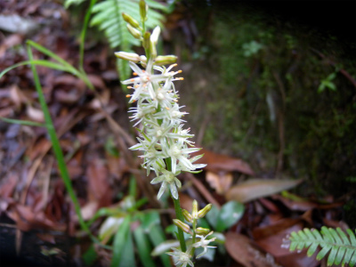 e0272335_1850679.jpg