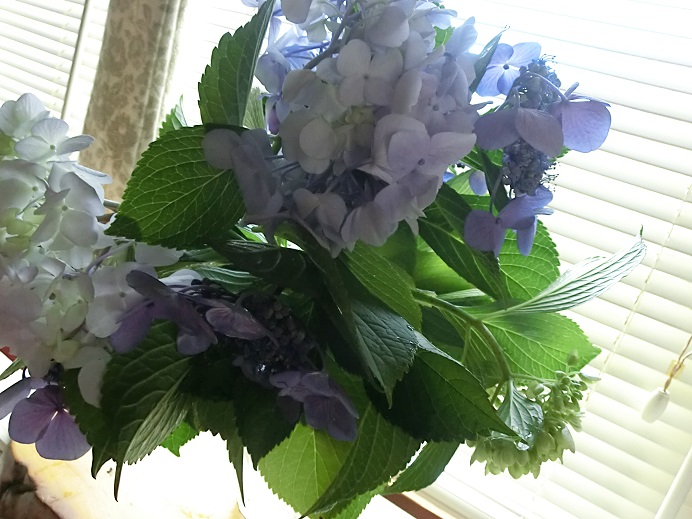 f0237037_129567.jpg