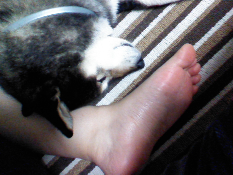 f0010639_12295343.jpeg