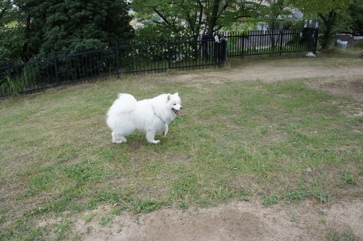 f0128542_141191.jpg