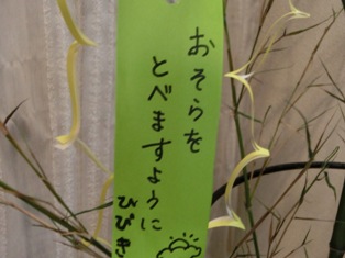 c0141844_2303477.jpg